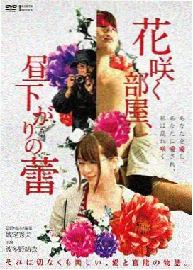 家庭剧《春日合租屋》封面图